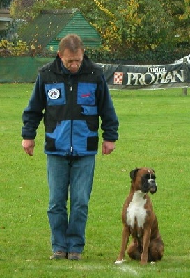 de Lyons Andelle